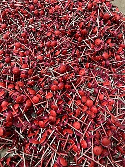 COLOURED ROOFING NAILS